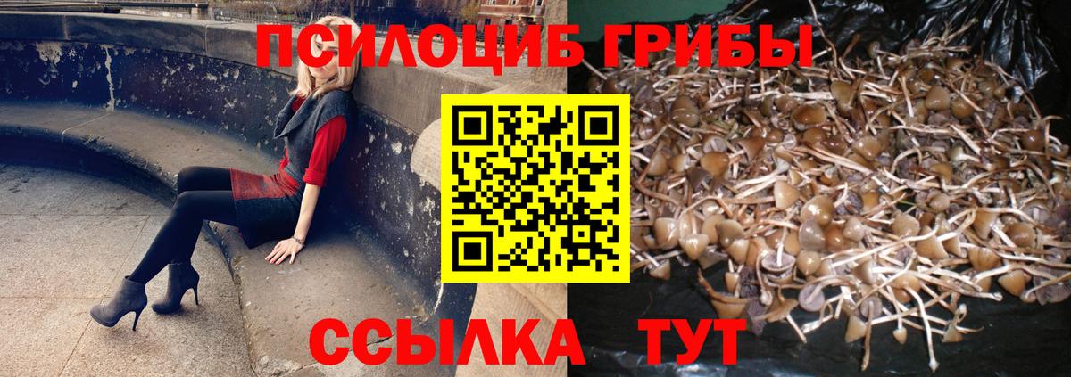 Галлюциногенные грибы Отрадный