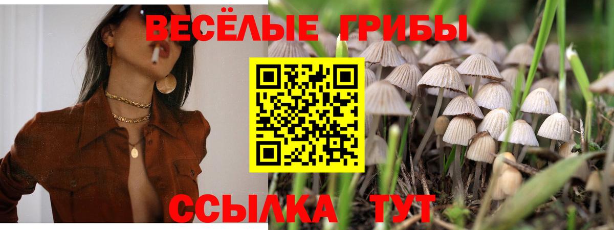 Галлюциногенные грибы Magic Shrooms  Галлюциногенные грибы ЛСД  Вход с VPN  Отрадный 